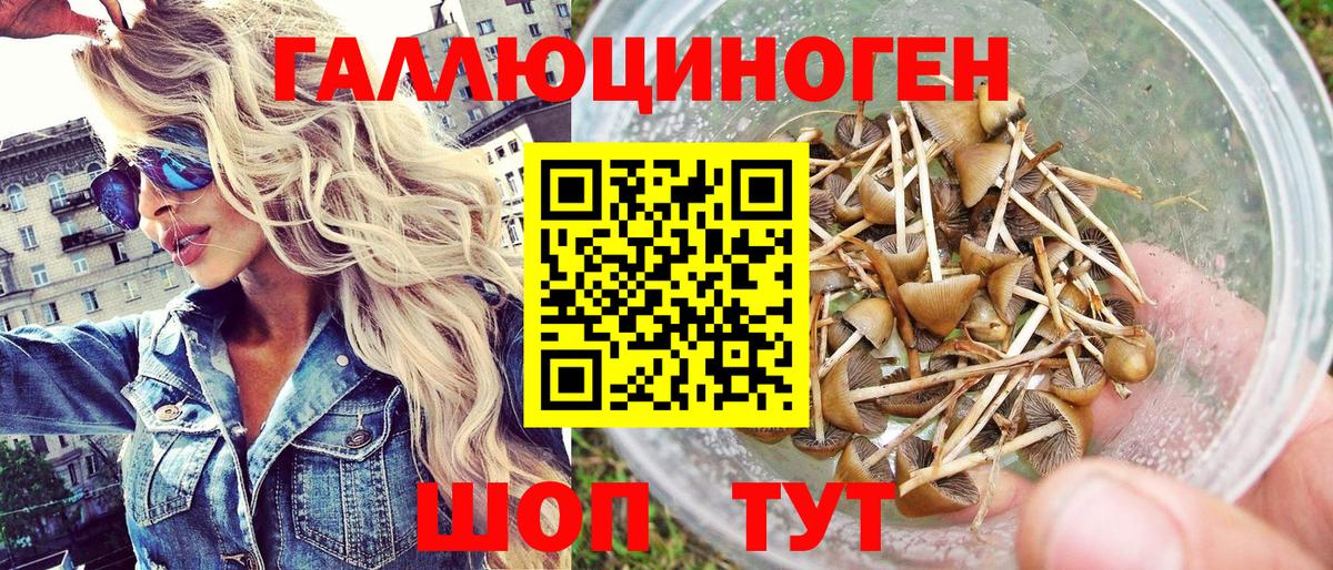 Новосибирск  Псилоцибиновые грибы Psilocybine cubensis  наркота  Вход с VPN 