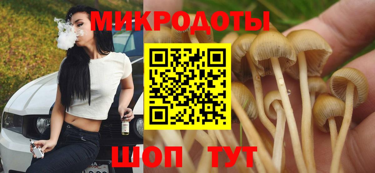 Псилоцибиновые грибы прущие грибы Новосибирск